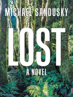 cover image of Lost